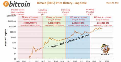 Decoding what ’19 million BTC in circulation’ means for investors - AMBCrypto News