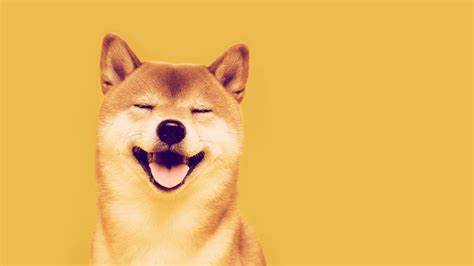 Shiba Inu Traders are Flipping to Utility Altcoins: Which Altcoins Are They Buying? - CryptoDaily