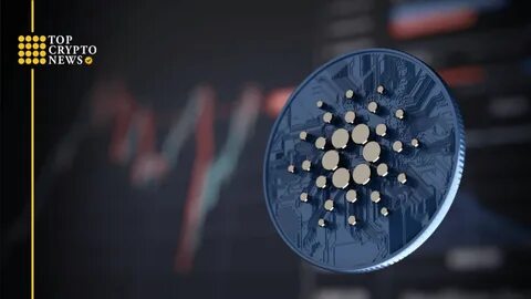 Why This Altcoin Is The Best Crypto To Buy Now Over Cardano (ADA) and Ripple (XRP) - Blockchain Reporter