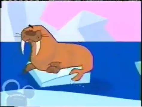 Show HN: Walrus TV – Watch anything, with anyone, at anytime
