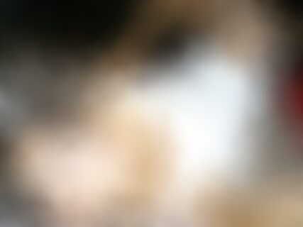 Xhamster sex en xhamsters online - Xhamster.nl