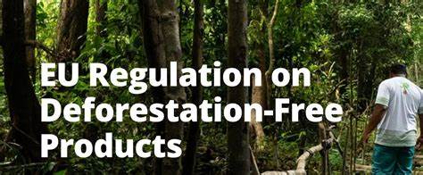 Tracing tyres and the EU Deforestation Regulation