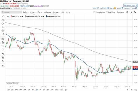 How Is Halliburton's Stock Performance Compared to Other Oil & Gas Equipment & Services Stocks?
