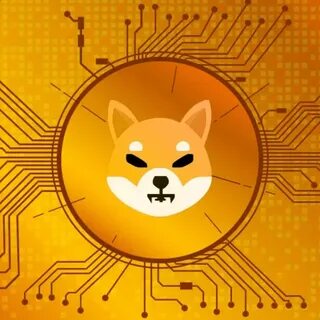 Crypto CEO Says XRP, Shiba Inu and Other Altcoins Will Crash for this Reason - The Crypto Basic