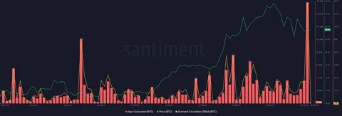 Trump's 50% tariff hike brings 'volatility' and 'instability' to crypto markets: Experts - TheStreet