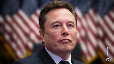Best crypto to buy now as Elon Musk says his party will support Bitcoin