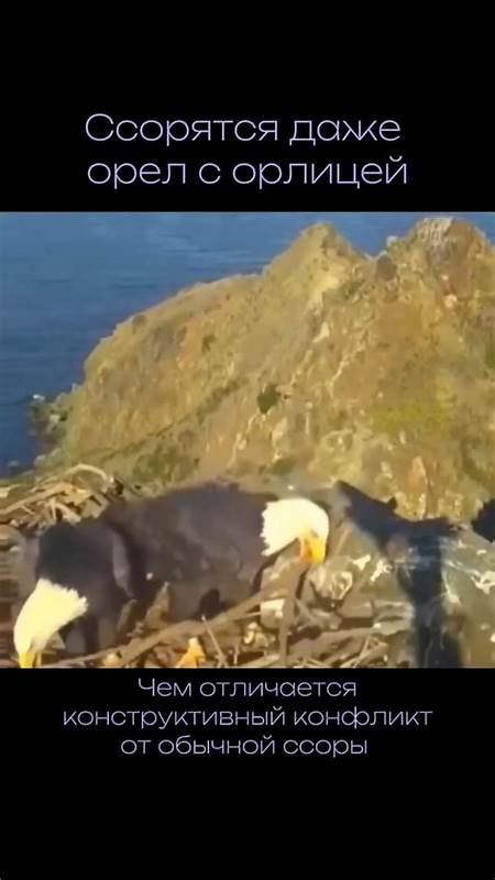 Вымогатели все чаще угрожают жертвам физической расправой