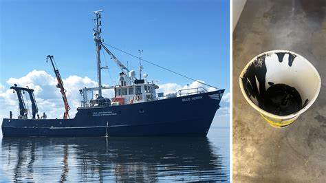 Black goo was oozing from a ship on the Great Lakes – and teeming with life