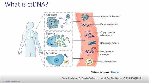 Cancer DNA is detectable in blood years before diagnosis