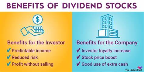 When I look for dividend shares to buy, should I just go for the biggest yields?