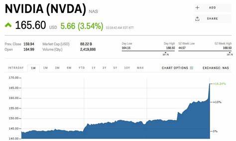 Nvidia stock ‘has become a casino’ warns analyst