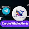 Why This SharpLink Whale Holds Millions in SBET—But Not Ethereum