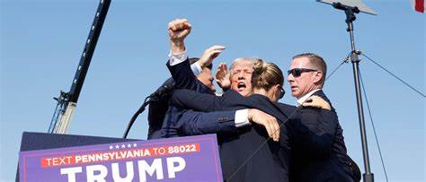 'Assassination Culture': Poll Shows Killing Trump, Musk Justified