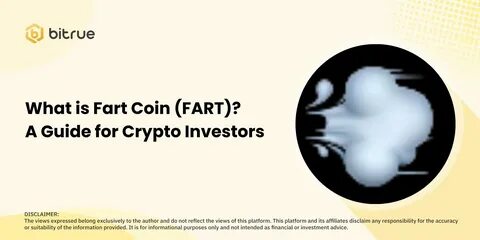 Fartcoin: What is it and Why did it Explode? - Crypto Times