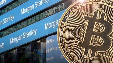 Analyst Says Bitcoin Dump Not Caused By Leverage Flushout: $ROE Presale Lures Investors With Massive Profit Margin - Crypto News Flash