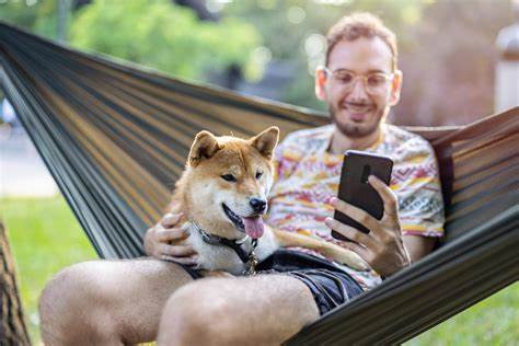 Can Dogecoin Reach $1? - The Motley Fool