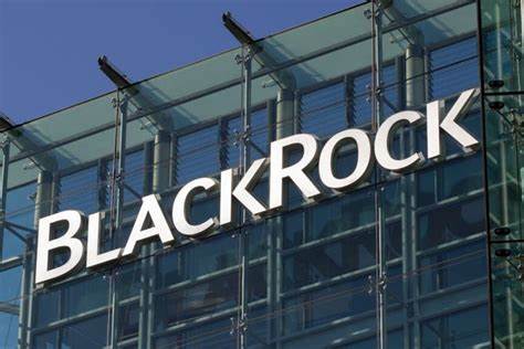 BlackRock Reportedly To Take 10% Of Circle IPO: Major Asset Manager 