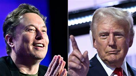 Musk seeks Trump pardon for ‘Bitcoin Jesus,’ charged with fraud - Malay Mail