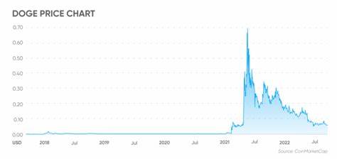Dogecoin Master Plan For New ATHs: 2017 Crash Shows Where DOGE Price Might Be Headed - idfspokesperson.com