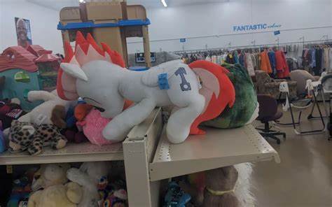 Man Buys Rare $12.99 Thrift Store Find—Then Learns Who It Really Belongs To