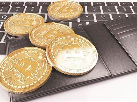 Indian founder on the run in global $2.4 bn crypto ponzi scheme