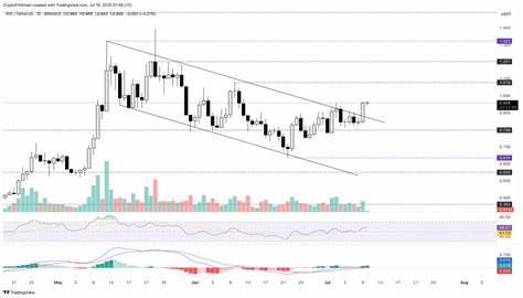 Crypto Gainers Price Prediction: WIF, SPX, XLM - Meme coins shine as Bitcoin hits record high