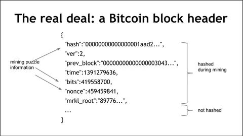 What Is A "Carbon Negative" Bitcoin Block Anyway? - Bitcoin Magazine