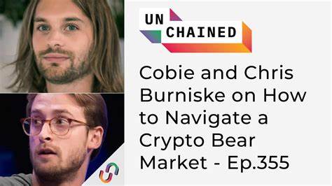 ‘You Should Be Salivating’ – Investor Chris Burniske Says Crypto Market Flashing ‘Sweet’ Setup Heading Into 2025 - The Daily Hodl