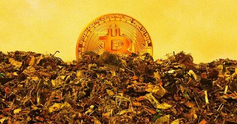 One man’s search for his €750 million bitcoin fortune buried in a landfill