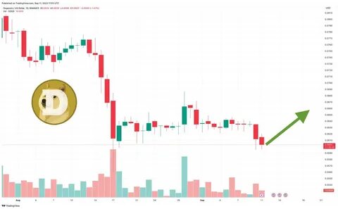 Dogecoin Hits A ‘Blood In The Streets’ Moment: Buy Or Sell Now? - TradingView