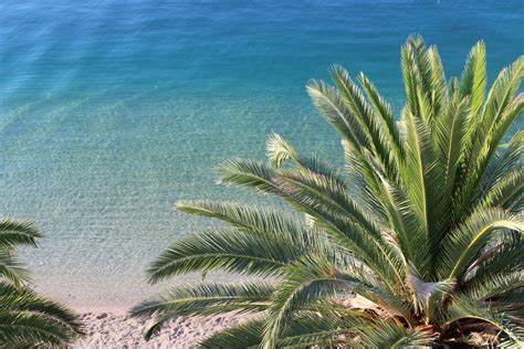 No Country Ever Got Rich from Tourism