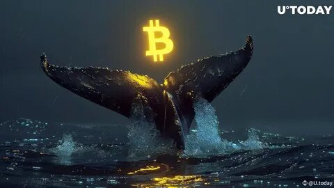 Massive BTC Short Position: Whale Risks It All on Bitcoin Drop!