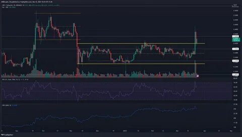 BONK’s Bullish Week: Trading Volume Explodes – Here’s What to Expect Next - Cryptonews