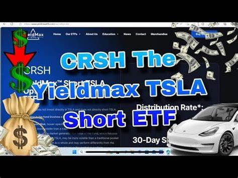 Short Tesla? Try CRSH for a Huge Yield Instead