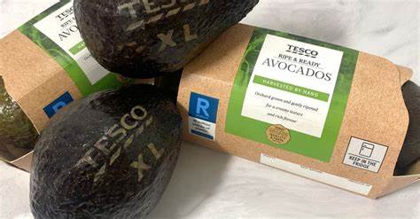 Tesco lasering avocados with product information in test to ditch stickers - ZAWYA