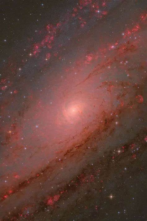 ZWO Astronomy Photographer of the Year 2025 winners