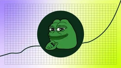 PEPE, OM and WIF Have Increased the Most in 2024 - CCN.com