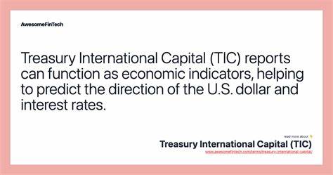 Description of the Treasury International Capital (Tic) System