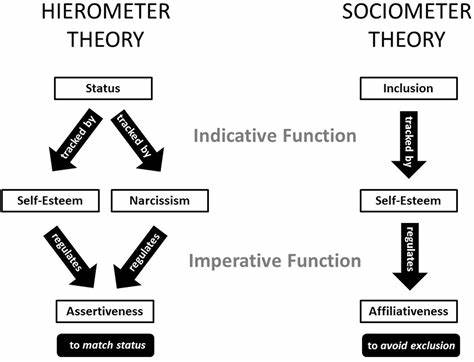 Sociometer