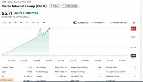Should You Buy Circle Stock Following the CRCL IPO?