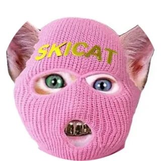 SKI MASK CAT Price: SKICAT Live Price Chart, Market Cap & News Today - CoinGecko Buzz