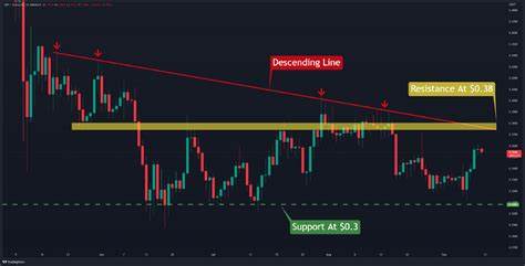 XRP price update and the next crypto to surge