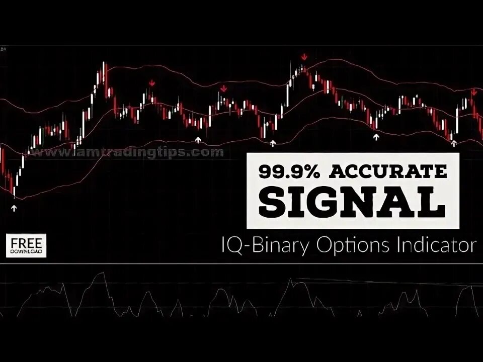 The Best Binary Options Signals Providers for 2025 - Benzinga
