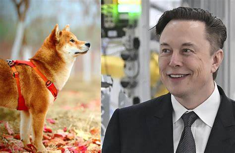 Elon Musk Mourns Death Of Iconic Shiba Inu That Inspired His Favorite Crypto Dogecoin: Here's How Crypto Community Is Reacting To Kabosu's Demise - Benzinga