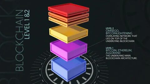 Top Layer 1 Blockchains You Need to Know About - CryptoTvplus