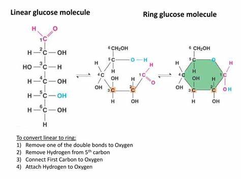 A Molecule with a Ring to It