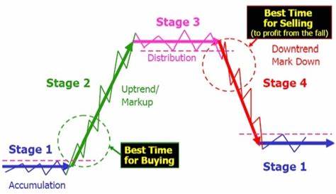 Market Consolidation Aligns with Four-Year Cycle