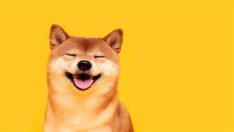 'Watch out Doge, Shiba Inu': HTX prepares for Pi Coin's debut; What is driving intense interest in Pi Network's Pi Coin? Will it sustain? ’ - Fortune India