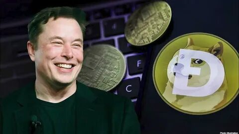 Musk Tells the US Sec to “Try Me” Over the Dogecoin - CryptoTvplus
