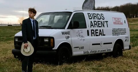 Birds aren’t real, and neither is the Enron relaunch - Sherwood News